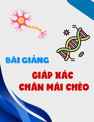 Bài giảng Giáp xác chân mái chèo [mới nhất]