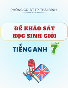 Đề thi Tiếng Anh lớp 7 học sinh giỏi: Phòng GD&ĐT TP. Thái Bình (khảo sát)