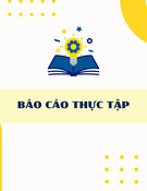 Báo cáo thực tập tại Công ty Cổ phần Cao su Đà Nẵng chi tiết nhất