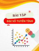 Bài tập Đại số tuyến tính [chuẩn nhất]