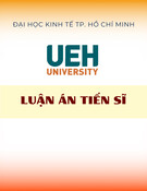Ảnh hưởng vốn trí tuệ và năng lực đổi mới đến tính bền vững kinh doanh: Luận án Tiến sĩ về vai trò trung gian của thực hành kế toán quản trị tại doanh nghiệp Việt Nam