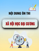 Nội dung ôn thi Xã hội học đại cương [chuẩn nhất]