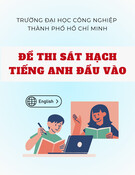 Đề thi Reading Tiếng Anh đầu vào năm 2023: Đề thi sát hạch