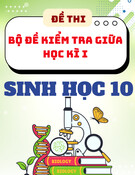 Đề Thi Giữa Học Kì 1 Sinh Học 10 - Kèm ma trận đề thi