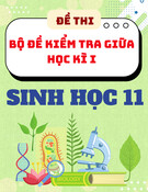 Đề Thi Giữa Học Kì 1 Sinh Học 11 - Kèm ma trận đề thi