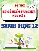 Bộ Đề Thi Giữa Học Kì 1 Sinh Học 12