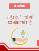 Đề cương môn Luật quốc tế về Sở hữu trí tuệ