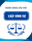 Ngân hàng câu hỏi ôn thi Luật Hình sự: Tổng hợp đầy đủ, chuẩn nhất