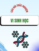 Bộ câu hỏi trắc nghiệm Vi sinh học: Tổng hợp đầy đủ nhất