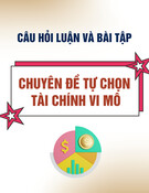 Câu hỏi luận và bài tập Tài chính vi mô chuyên đề tự chọn