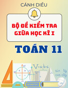 Bộ đề thi giữa kì 1 Toán 11 Cánh diều (Có Đáp án)