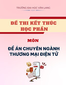 Đề thi học kì 2 môn Đề án chuyên ngành thương mại điện tử năm 2024-2025: Tuyển tập đề thi