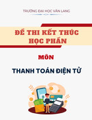 Đề thi Thanh toán điện tử học kì 3 năm 2024-2025: Đề thi kết thúc học phần