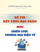 Đề thi Chiến lược thương mại điện tử học kì 2 năm 2024-2025: [Có thể thêm thông tin chi tiết về trường/lớp]