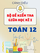 Bộ đề thi giữa kì 1 Toán 12 Cánh diều (Có Đáp án)