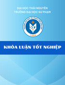 Nghiên cứu ảnh hưởng tính chất quang đến chế tạo buồng vi cộng hưởng một chiều: Khóa luận tốt nghiệp
