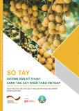 Sổ tay Hướng dẫn kỹ thuật canh tác cây nhãn theo VietGAP chuẩn nhất