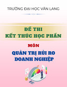 Đề thi Quản trị rủi ro doanh nghiệp học kì 1 năm 2024-2025 có đáp án (Đề 1)