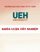 Xây kênh truyền thông trực tuyến tăng khách hàng cho Công ty Yến Sào Ngọc Chinh: Thực trạng và đề xuất (Khóa luận tốt nghiệp)