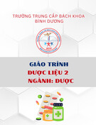 Giáo trình Dược liệu 2 (Trung cấp Dược): Trường Trung cấp Bách khoa Bình Dương