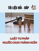 Hỏi đáp Luật Tư pháp người chưa thành niên: Tài liệu chuẩn nhất