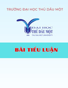 Thực trạng tổ chức không gian làm việc tại Thư viện Trường Tiểu học Phú Hòa I, Bình Dương trong thời đại công nghệ thông tin: Bài tiểu luận