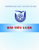Bài tiểu luận Lịch sử thế giới cổ đại: Tổng quan và phân tích