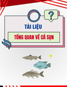 Tổng quan về cá sụn chi tiết nhất