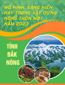 Mô hình, sáng kiến hay xây dựng nông thôn mới 2023: Kinh nghiệm từ tỉnh Đắk Nông