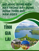 Mô hình, Sáng kiến Xây dựng Nông thôn Mới năm 2023: Kinh nghiệm từ Tỉnh Gia Lai