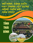 Mô hình, Sáng kiến Xây dựng Nông thôn Mới 2023: Kinh nghiệm từ Tỉnh Thái Bình