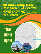Mô hình, sáng kiến xây dựng nông thôn mới năm 2023 hay nhất: Tỉnh Bình Định