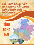 Mô hình, Sáng kiến xây dựng nông thôn mới 2023 hay nhất: Tỉnh Hải Dương