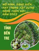 Mô hình, sáng kiến xây dựng nông thôn mới năm 2023 hiệu quả tại tỉnh Bến Tre