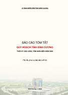 Báo cáo tóm tắt quy hoạch tỉnh Bình Dương thời kỳ 2021-2030, tầm nhìn đến năm 2050 (Tài liệu phục vụ báo cáo cuối kỳ)