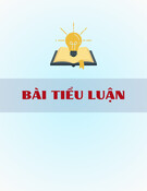 Công nghệ sản xuất trà Kombucha: Bài tiểu luận chi tiết