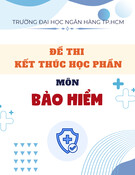 Đề thi kết thúc học phần Bảo hiểm [năm] [khóa] mới nhất
