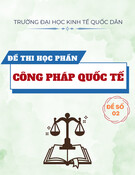 Đề thi Công pháp quốc tế năm 2022: Đề số 2 (Mới nhất)