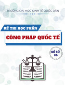 Đề thi Công pháp quốc tế năm 2022: Đề số 6 (Mới nhất)