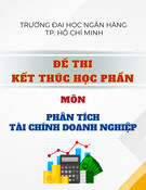 Đề thi phân tích tài chính doanh nghiệp kết thúc học phần