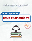 Đề thi Công pháp quốc tế năm 2022: Đề số 1 (Mới nhất)