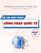Đề thi Công pháp quốc tế năm 2022: Đề số 3 (Mới nhất)