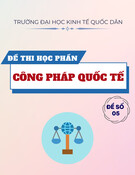 Đề thi Công pháp quốc tế năm 2022: Đề số 5 (Mới nhất)