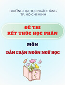 Đề thi Dẫn luận ngôn ngữ học kết thúc học phần