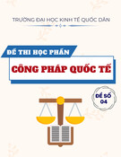 Đề thi Công pháp quốc tế năm 2022: Đề số 4 (mới nhất)