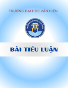 Phân tích hoạt động tài chính Công ty Cổ phần Vận tải và Dịch vụ Petrolimex Sài Gòn: Bài tiểu luận chi tiết