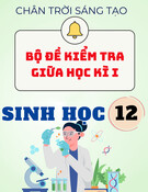 Bộ đề kiểm tra giữa học kì I - Sinh học 12 (theo cấu trúc mới 2025 - kèm ma trận + đáp án chi tiết)