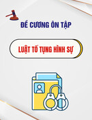 Đề cương ôn tập Luật Tố tụng hình sự: Lý thuyết, nhận định, bài tập tình huống (mới nhất)