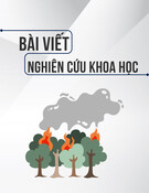 Xây dựng hệ thống cảnh báo cháy rừng sử dụng công nghệ viễn thám, mô hình ngôn ngữ lớn