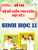 Bộ Đề Ôn Tập Giữa HK 1 Sinh 11
